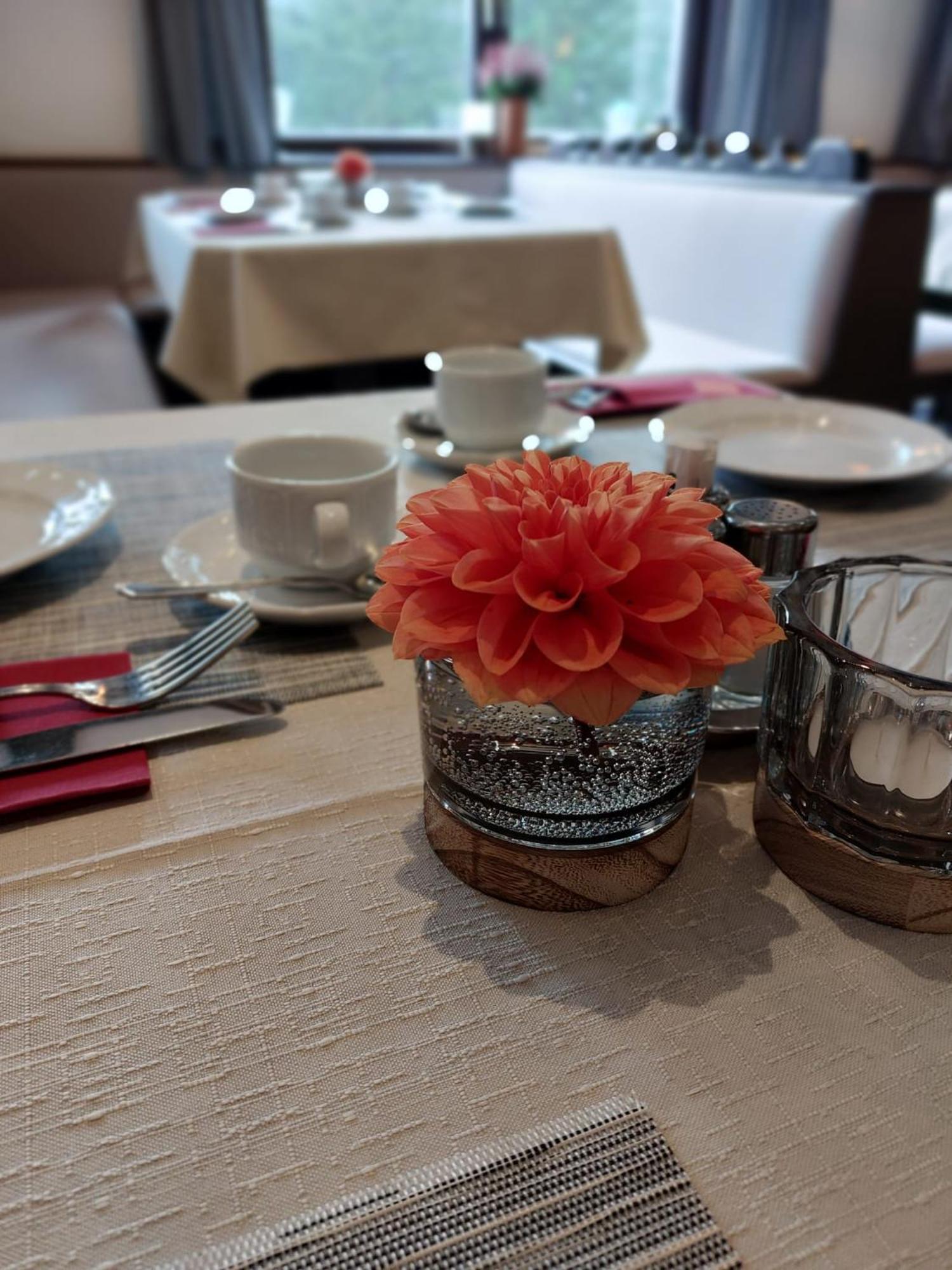 Draxlerhaus Hotel Hohentauern Eksteriør billede