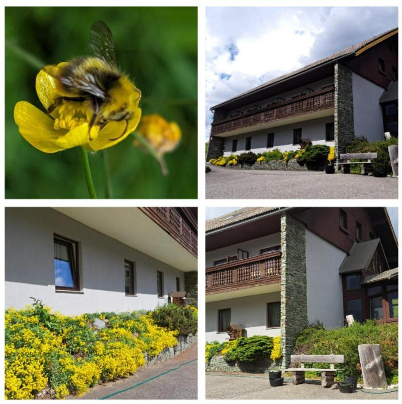 Draxlerhaus Hotel Hohentauern Eksteriør billede
